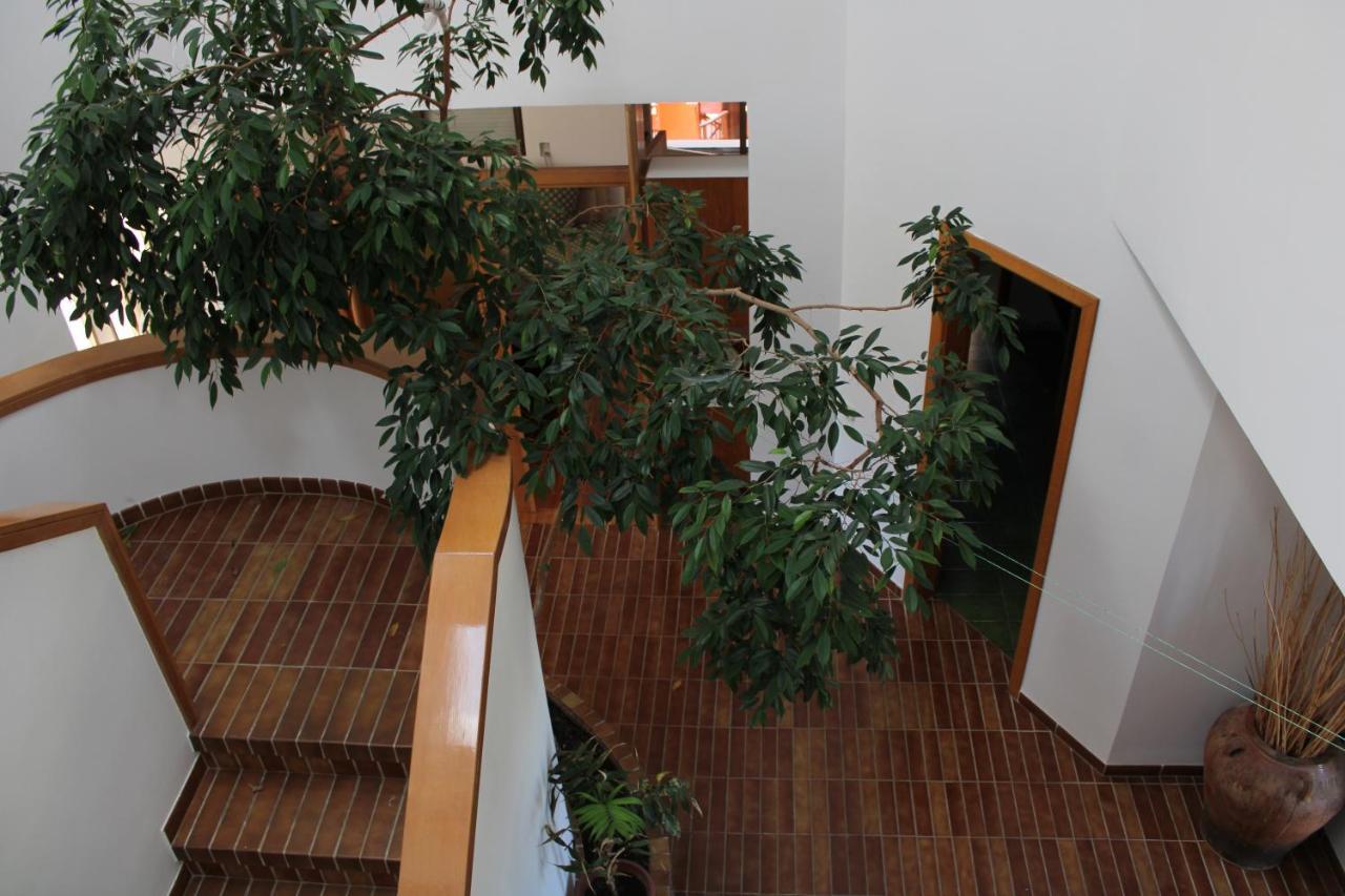 Villa De L'Ebre Deltebre Bagian luar foto